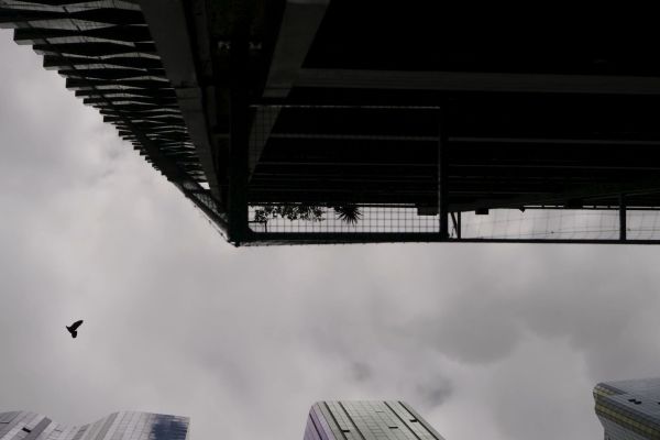 bird-netting-melbourne-0007-layer-27A67B82A9-8767-00C7-D399-9B4E24B50B82.jpg